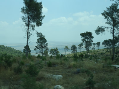 The view from the Gilboa mountains...